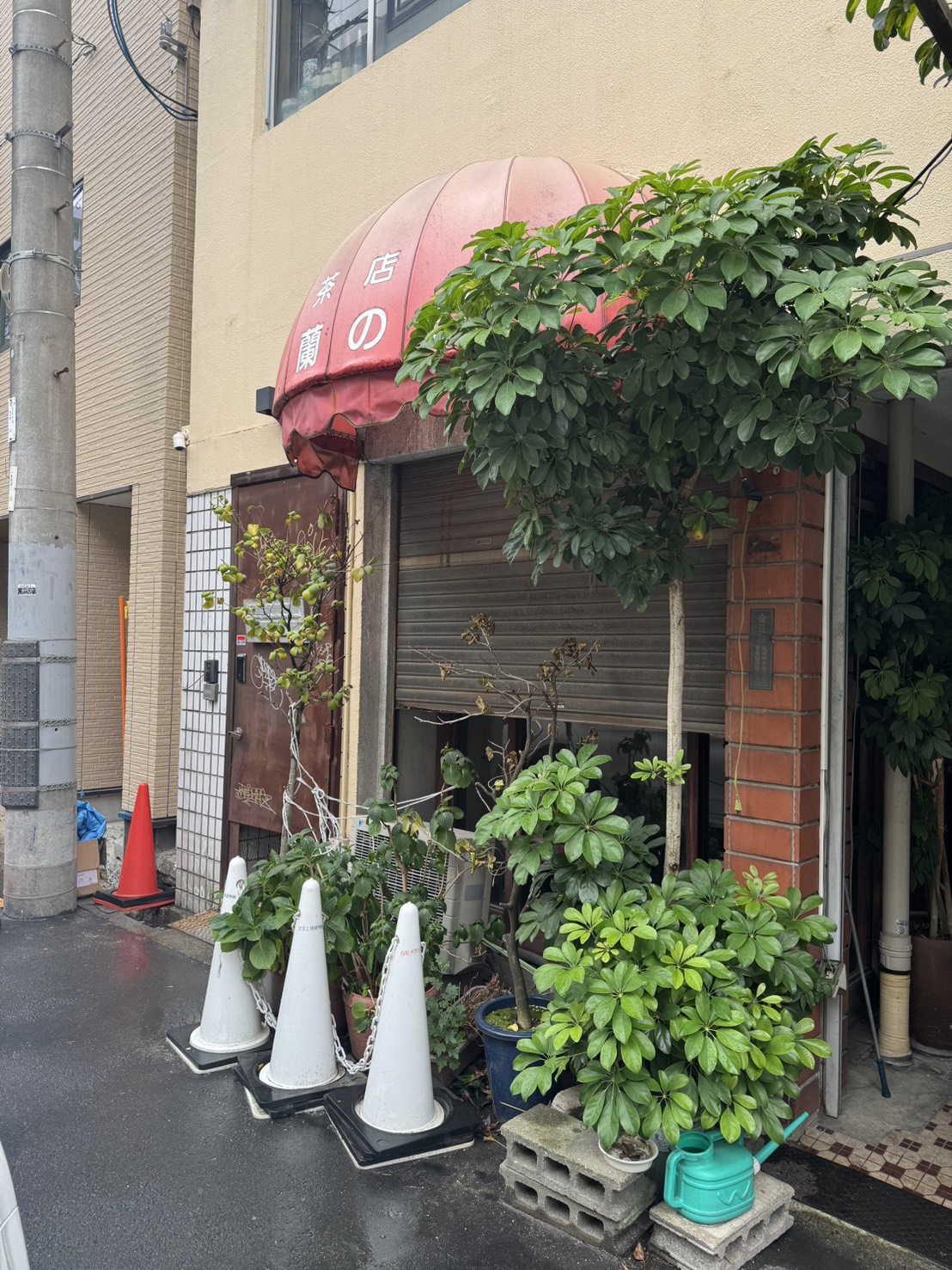 S__49512470